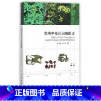 [正版]常用中草药识用图谱 9787117211499