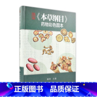 [正版]本草纲目 药物彩色图原版全套李时珍彩绘版中医养生入门中草药彩图大全书中药伤寒论千金方汤头歌诀黄帝内经中医古籍中医