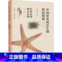 [正版]中国常见海洋生物原色图典 腔肠动物 棘皮动物 魏建功,曾晓起,李洪武 编 海洋学少儿 书店图书籍 中国海洋大学出