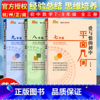 数学 九年级/初中三年级 [正版]新版爱与恨的初中平面几何 七八九年级几何课黄东坡培优新方法系列丛书初一二三789年级辅