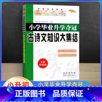 古诗文知识大集结 小学升初中 [正版]2023新小学毕业升学夺冠大集结古诗文字词句训练成语名著文学常识作文素材新阅读训练