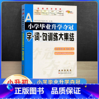 字词句训练大集结 小学升初中 [正版]2023新小学毕业升学夺冠大集结古诗文字词句训练成语名著文学常识作文素材新阅读训练