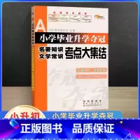 名著知识.文学常识考点大集结 小学升初中 [正版]2023新小学毕业升学夺冠大集结古诗文字词句训练成语名著文学常识作文素
