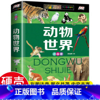 动物世界(注音版) [正版]昆虫百科全书-注音版 精装完整版儿童科普类书籍