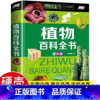植物百科全书(注音版) [正版]昆虫百科全书-注音版 精装完整版儿童科普类书籍