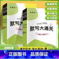 语文 五年级上 [正版]2023新版默写大通关一年级二年级三年级四年级五年级六年级123456上册下册人教版小学语文单元