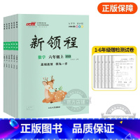 数学[XSD西师大版] 四年级上 [正版]2023秋季新版新领程小学一年级二年级三年级四年级五年级六年级123456上册