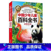 动物百科 [正版]中国少年儿童科普百科全书彩图注音版一二三年级小学生课外阅读书6-8-12岁地球大百科海洋动物科技科普儿