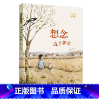 想念虫子和草(大自然的邀请函) [正版]想念虫子和草 大自然的邀请函系 硬壳精装小学生三四五六年级课外阅读儿童文学课外书