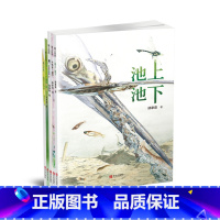 爱上自然 [正版]爱上自然全5册(给3—8岁孩子的自然与科学、美学与文学课,丰子恺儿童图画书奖获奖作品)
