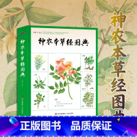 [正版]神农本草经图典