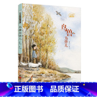 鸟兽为伴儿·大自然的邀请函 [正版]鸟兽为伴儿 大自然的邀请函系 硬壳精装小学生三四五六年级课外阅读儿童文学课外书薛涛给