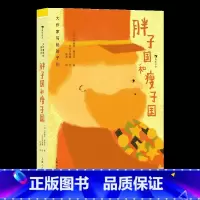 第2级:胖子国和瘦子国 [正版]大作家写给孩子们任选 7-10岁儿童文学课外分级阅读参考书目 小红马普希金堂吉诃德历险记