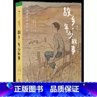 第3级:故乡,年少故事 [正版]大作家写给孩子们任选 7-10岁儿童文学课外分级阅读参考书目 小红马普希金堂吉诃德历险记