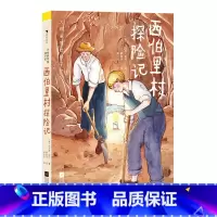 第2级:西伯里村探险记(哈代) [正版]大作家写给孩子们任选 7-10岁儿童文学课外分级阅读参考书目 小红马普希金堂吉诃