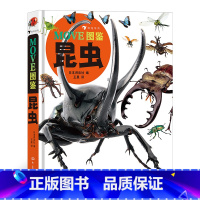 MOVE图鉴 昆虫 [正版]MOVE图鉴昆虫 6-12岁儿童青少年科普图鉴 昆虫结构分类捕食繁殖习性解说标本图片 讲谈社