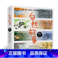 自然故事 第2辑 [正版]自然故事合辑任选 4-8岁 儿童自然科普读物绘本 国际大奖获奖插画家 世界知名获奖插画家共同创
