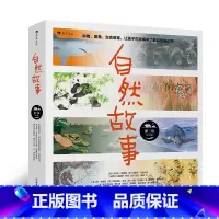 自然故事 第2辑 [正版]自然故事合辑任选 4-8岁 儿童自然科普读物绘本 国际大奖获奖插画家 世界知名获奖插画家共同创