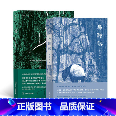 [正版]乌暗暝和雨2册套装 马来西亚作家黄锦树华语乡土文学魔幻现实主义长篇小说北京大学获奖作品书籍