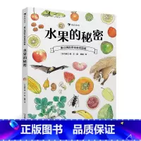 [正版]《水果的秘密:盛口满的手绘自然图鉴》不只适合孩子阅读,也适合每一个热爱大自然的成年人。