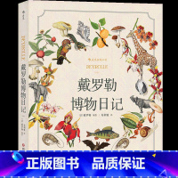[正版]戴罗勒博物日记 自然科普博物手账秘密花园涂色书画本儿童艺术书籍