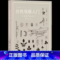 [正版] 自然观察入门 认识花鸟虫鱼 万物漫游指南自然科普经典插图昆虫植物观察书籍