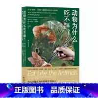 [正版] 动物为什么吃不胖 趣味科普蛋白质杠杆理论 代谢饮食健康营养理论科学研究书籍