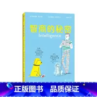 智商的秘密 [正版]智商的秘密 7-12岁大脑智力认知少儿科普百科书籍 浪花朵朵童书