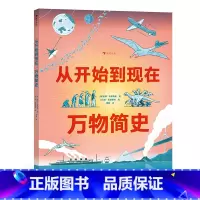 从开始到现在:万物简史 [正版]从开始到现在 万物简史 6-9岁儿童科普 全景式展现地球景象宇宙历史书 宇宙地球史生物演