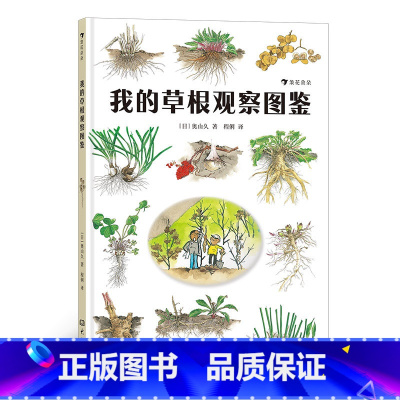 新书后浪正版 我的草根观察图鉴 激发孩子自然观察兴趣的入门指南 自然观察 自然科普书籍 [正版]新书 我的草根观察图鉴