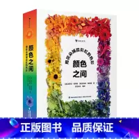 颜色之间 [正版]儿童艺术培养色彩百科任选 嗨快来设计一辆车摩天大战五彩缤纷的世界儿童艺术大书 3-8岁色彩百科艺术绘本