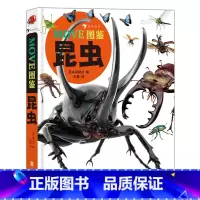 MOVE图鉴 昆虫 [正版] 6-12岁儿童昆虫科普百科任选MOVE图鉴昆虫法布尔老师的昆虫教室 昆虫结构习性昆虫图鉴科