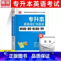 英语词汇与语法·完型填空·翻译·辨认错误·写作 [正版]天一2024普通高校专升本考试英语词汇与语法完形填空翻译辨认错误