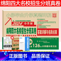 语文 [正版]2024新版绵阳四大名校真题语文小升初真题卷小学毕业升学真题详解重点中学招生分班小学升学全真模拟试卷考前辅