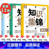 [正版]全新2021年小学语文数学英语知识大全9本知识集锦人教版通用版六年级升初中名校冲刺总复习资料包练习册小升初知识大