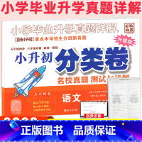 [语文[分类卷] 小学升初中 [正版]百校联盟升级版小学毕业升学真题详解语文五六年级冲刺名校重点中学小升初真题分类卷必刷