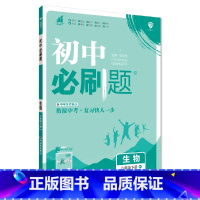 生物BS 八年级下 [正版]2023春初中数学八年级下册人教北师外研版 初二语文英语同步训练习册8年级物理化学生物历史地