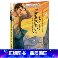 追逐金色的少年 [正版]追逐金色的少年/长青藤国际大奖小说书系 青少年小学生课外阅读书籍儿童文学作品