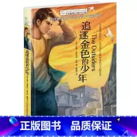 追逐金色的少年 [正版]追逐金色的少年/长青藤国际大奖小说书系 青少年小学生课外阅读书籍儿童文学作品