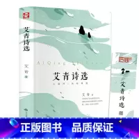 艾青诗选精装版 [正版]追逐金色的少年/长青藤国际大奖小说书系 青少年小学生课外阅读书籍儿童文学作品