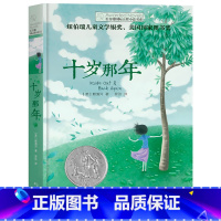 十岁那年 [正版]追逐金色的少年/长青藤国际大奖小说书系 青少年小学生课外阅读书籍儿童文学作品