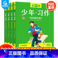 意林少年习作(全4册) 初中通用 [正版] 意林有用作文初中版全套4册语文初中生中考满分作文书素材纸大全大选范文分类条七