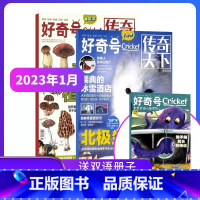 好奇号2023年1-12月[赠双语读物+先导视频] [正版] 好奇号杂志订阅2023年/2024年共12期1-12月自选