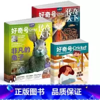 好奇号杂志23年11月-24年10月[赠双语读物+先导视频] [正版] 好奇号杂志订阅2023年/2024年共12期1-