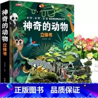 神奇的动物3D立体书 [正版]全4册我们的身体3d立体书 探秘海洋3D立体书翻翻书101个好玩的交通工具立体书神奇的动物