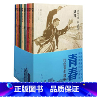 红色青年故事 (全12册) [正版] 旭日红色少年故事全10册+青春红色青年故事全12册 青年团成立纪念版 经