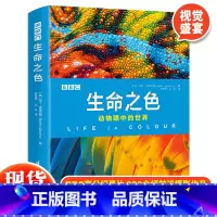 生命之色:动物眼中的世界 [正版] BBC生命之色:动物眼中的世界6-12岁动物世界儿童大百科全书青少年科普中小学生课外