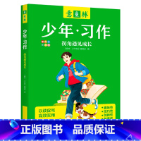 拐角遇见成长 [正版] 2023年意林少年习作系列全套4册意林16周年少年版作文写作技巧意林体作文素材大全中小学生作文写