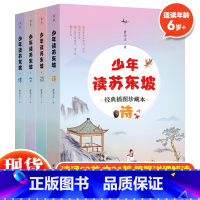 少年读苏东坡(全4册) [正版] 少年读苏东坡全4册经典插图珍藏本诗词文传 苏轼苏东坡传 人物传记历史名人故事诗词集中华