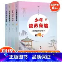 少年读苏东坡(全4册) [正版] 少年读苏东坡全4册经典插图珍藏本诗词文传 苏轼苏东坡传 人物传记历史名人故事诗词集中华